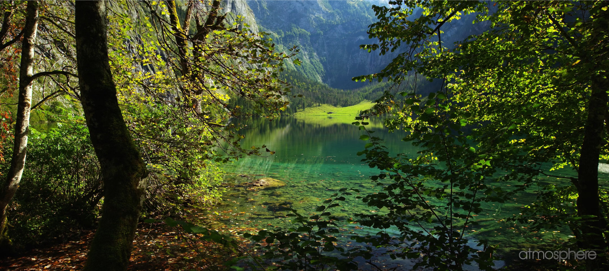 Obersee – Germany