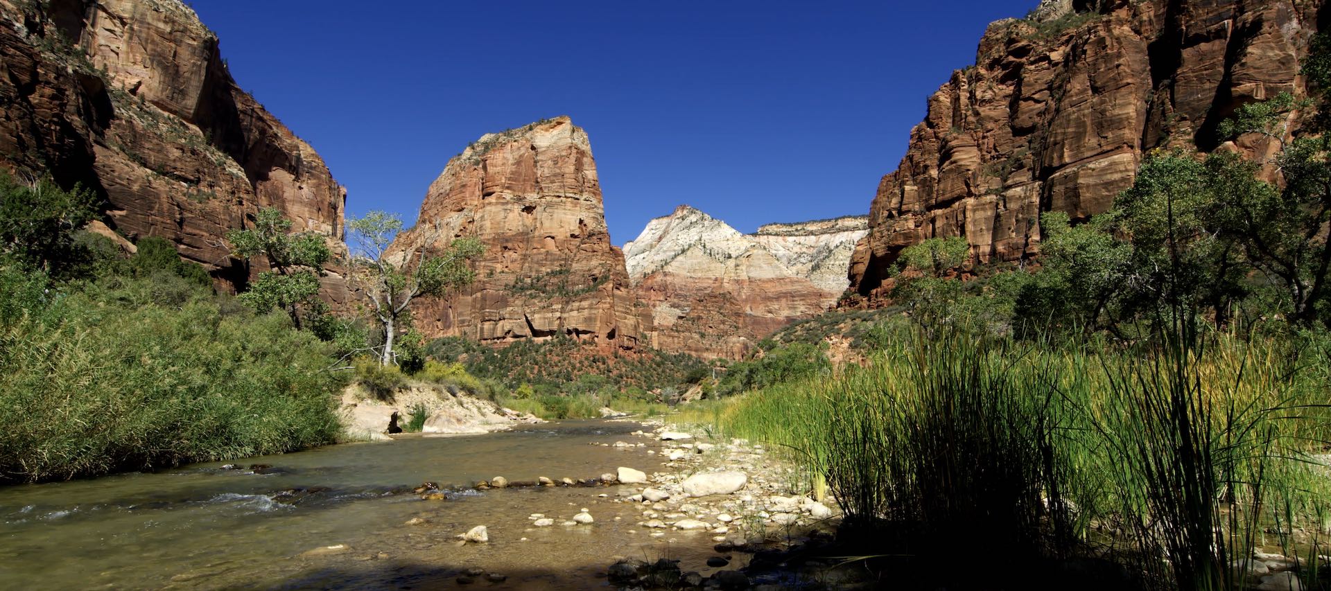 Zion National Park – USA