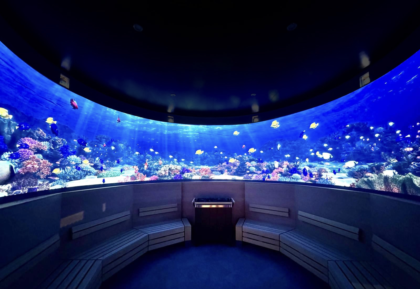 The fututre of saunas is here: a 270° immersive media experience